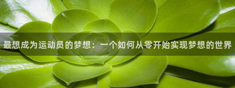 看球通体育app苹果版下载：最想成为运动员的梦想：一个如何从零开始实现梦想的世界