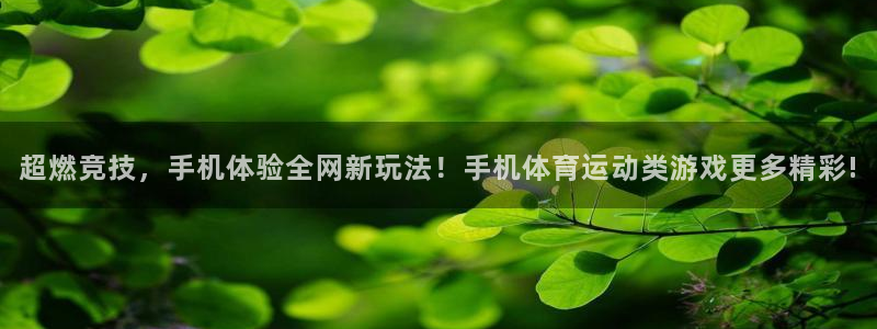 看球通体育app官方下载：超燃竞技，手机体验全网新玩法！手机体育运动类游戏更多精彩!