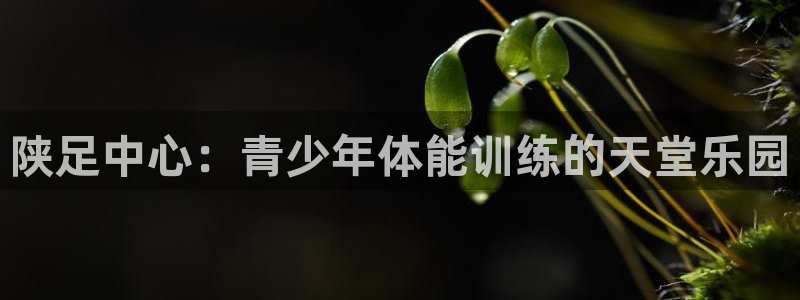 看球通体育a：陕足中心：青少年体能训练的天堂乐园