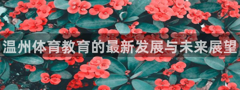 看球通体育app苹果版下载：温州体育教育的最新发展与未来展望
