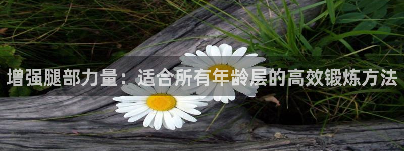 看球通体育app：增强腿部力量：适合所有年龄层的高效锻炼方法